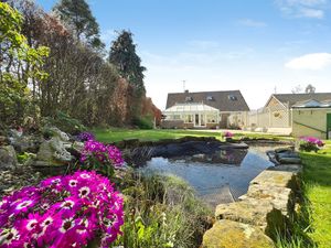 Photo 44- click for photo gallery